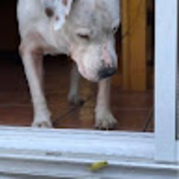 Meet your Posher, Diassiau - Picture 1 of 1